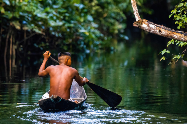 Amazonas: la selva infinita