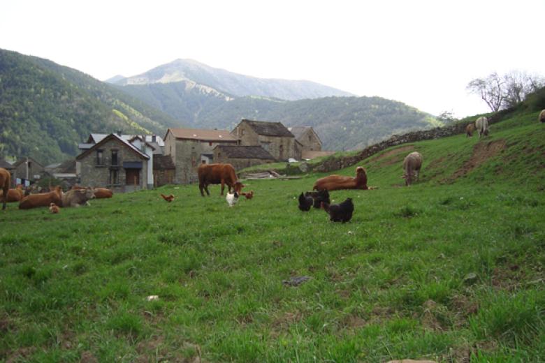 Viu de Linás (Huesca)