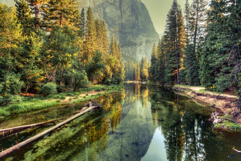 Explorar los paisajes de Yosemite