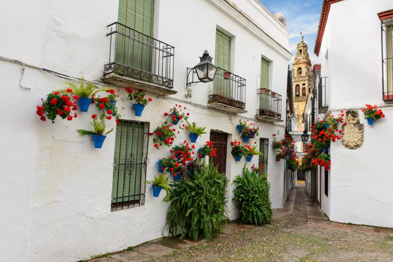 10. Calleja de las Flores (Córdoba)