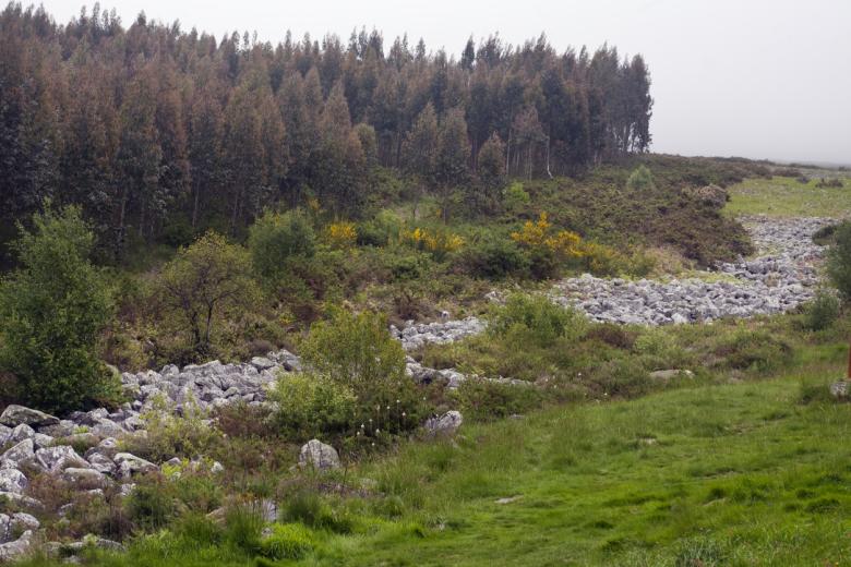 Nacimiento del río Miño (Pedregal de Irimia, Lugo, Galicia)