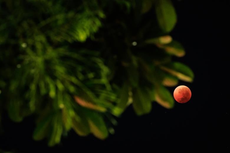 'Luna de Sangre' vista desde Yakarta, Indonesia