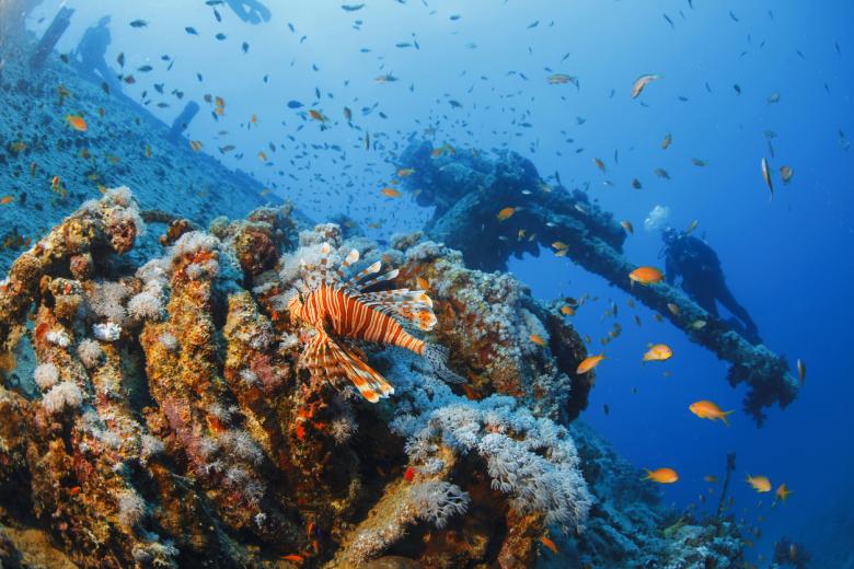 Bucear en el Parque Nacional Ras Mohammed