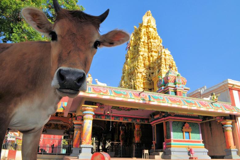 17. Jaffna (Sri Lanka)