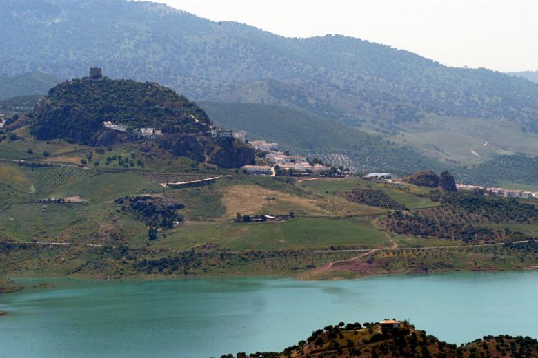 Avistamiento de aves