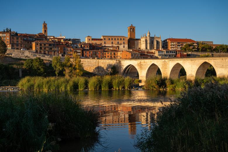 Tordesillas (Valladolid): amarguillos y recetas de clausura