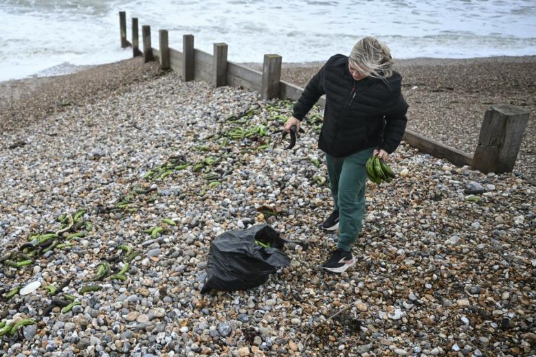 «Cualquier ayuda es bienvenida, pero les pedimos que actúen con precaución. También es importante que todos los residuos recogidos se dejen en el lugar previsto para su recogida», instaron las autoridades.