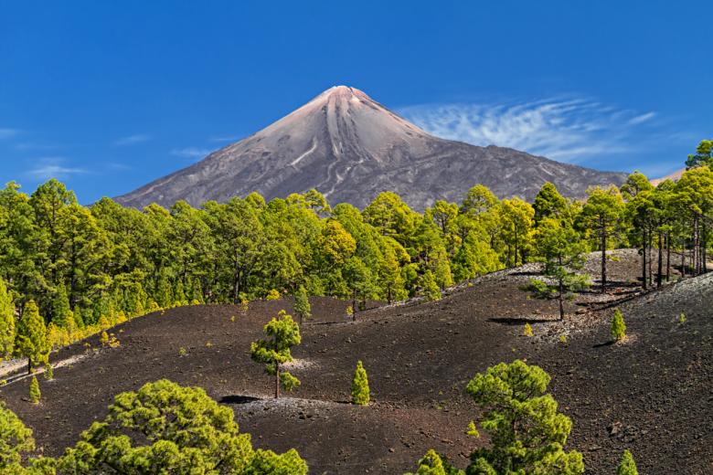 Teide (Tenerife, Canarias)
