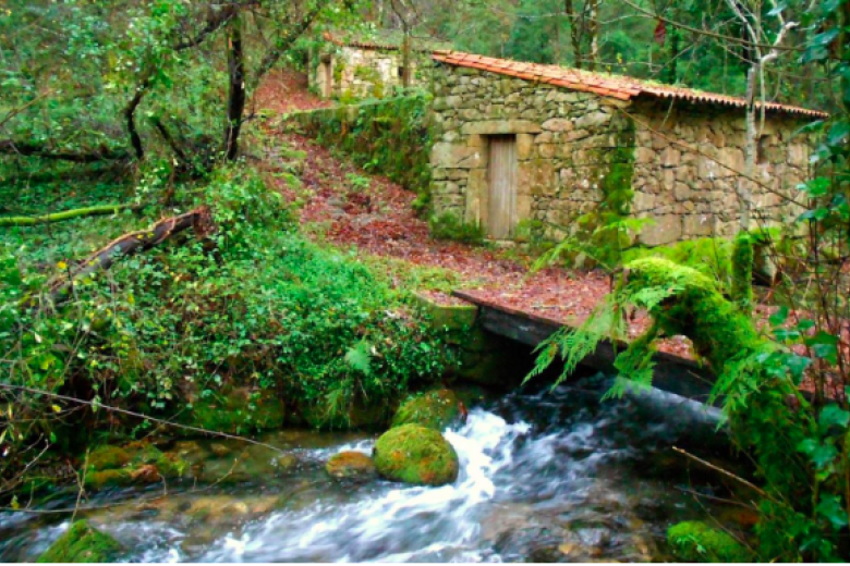 Ruta del Río de la Fraga