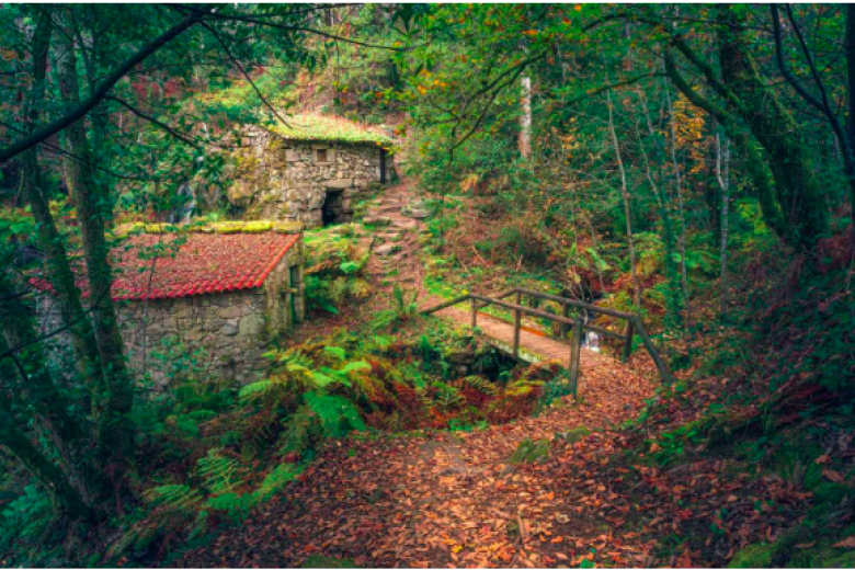 Ruta de los Molinos do Tripes