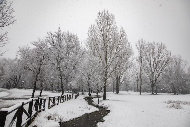 Imágenes de la nevada que ha cubierto de blanco la región