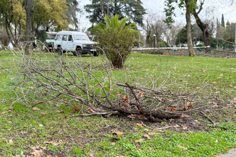 KRISTIN A SU PASO POR CORDOBA BORRASCA LLUVIA CORDOBA CALLES