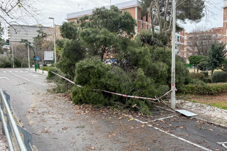KRISTIN A SU PASO POR CORDOBA BORRASCA LLUVIA CORDOBA CALLES