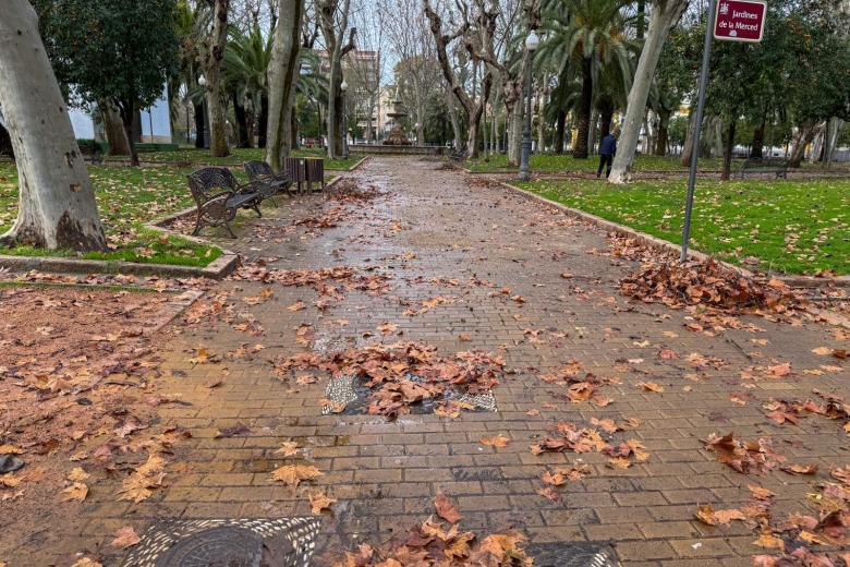 KRISTIN BORRASCA CORDOBA ARBOLES ARRANCADOS LLUVIA