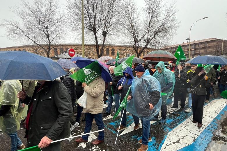 Manifestación Agricultores y Ganaderos Castilla-La Mancha, Toledo