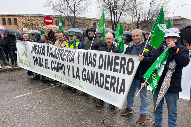 Manifestación Agricultores y Ganaderos Castilla-La Mancha, Toledo