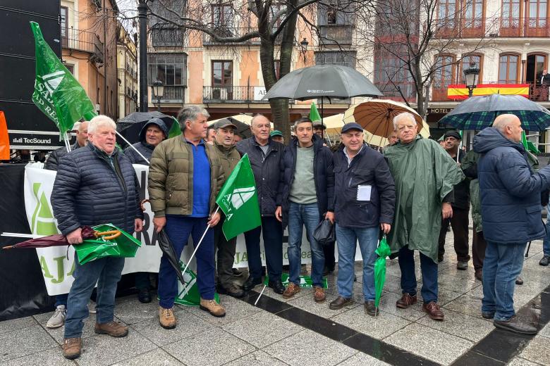 Manifestación Agricultores y Ganaderos Castilla-La Mancha, Toledo