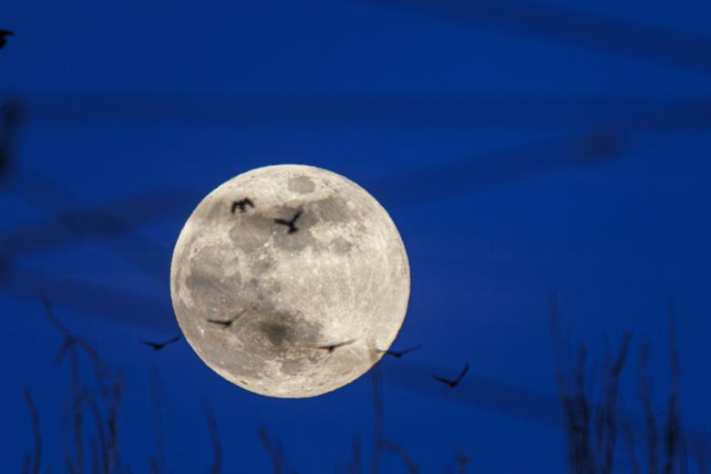 Imagen de la luna llena de Febrero o ´Luna de Nieve´ tomada hoy domingo desde Zaragoza.