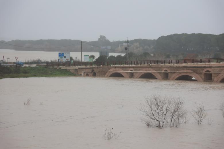 El río Guadalete desborda sus márgenes a su paso por la zona de Las Pachecas en Jerez de la Frontera (Cádiz) provocando importantes inundaciones. A 4 de febrero de 2026, en Jerez de la Frontera, Cádiz (Andalucía, España). La Agencia Estatal de Meteorología (Aemet) ha activado hasta las 15.00 horas de este miércoles 4 de febrero aviso de nivel rojo --peligro extraordinario-- en la comarca gaditana del Campo de Gibraltar por lluvias que pueden dejar hasta 120 litros por metro cuadrado en 12 horas, especialmente en el entorno del municipio de Algeciras. En todo el litoral de Cádiz hay además activos avisos de nivel naranja por fenómenos costeros y fuertes vientos.

Rocío Ruz / Europa Press
04/2/2026