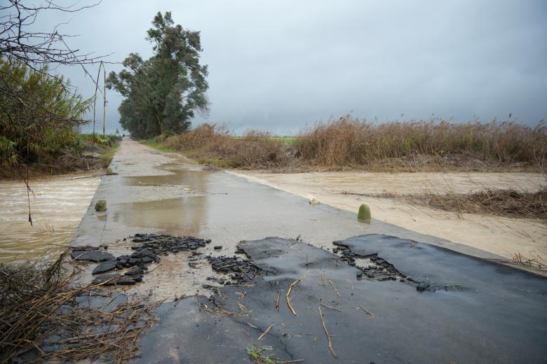 La crecida del arroyo Miraflores en Sevilla obliga al cierre de una vía al tráfico por inundación de la calzada. A 4 de febrero de 2026, en Sevilla (Andalucía, España). La borrasca Leonardo a su paso por la provincia de Sevilla ha provocado que en estos momentos se encuentren siete vías cortadas al tráfico, que el cauce del río Guadaíra a su paso por Arahal y el Arroyo de Santiago en el término municipal de Utrera se encuentran en nivel rojo en estos momentos, así como una veintena de avisos a la Guardia Civil. Por otro lado la Unidad Militar de Emergencia (UME) y la Policía Nacional se encuentra "preposicionada" en la provincia por "si la dirección de emergencias requiriera su participación".

Joaquín Corchero / Europa Press
04/2/2026