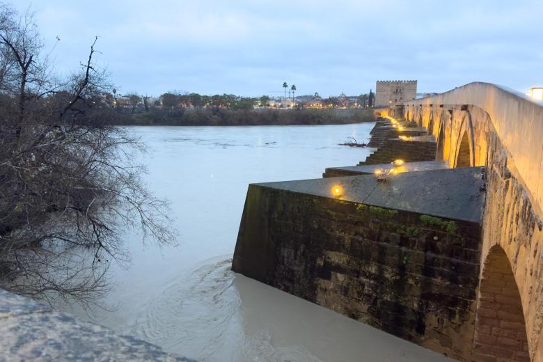 Así estaba el Guadalquivir a la altura del Puente Romano, este miércoles 4 de febrero