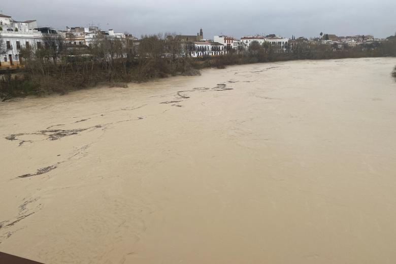 Río Guadalquivir a su paso por Córdoba tras la borrasca Leonardo