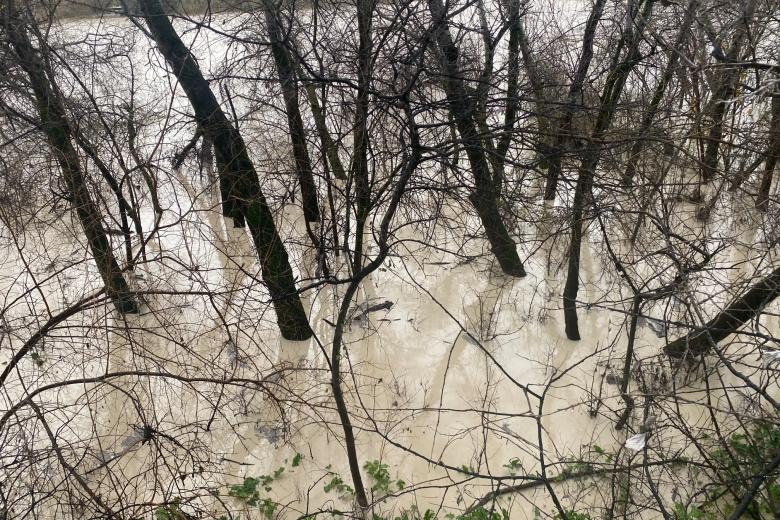 Río Guadalquivir a su paso por Córdoba tras la borrasca Leonardo