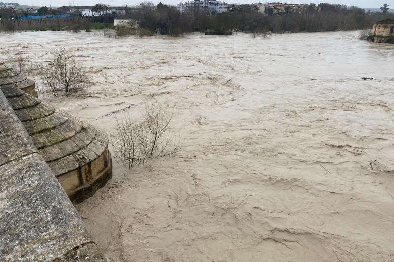Río Guadalquivir a su paso por Córdoba tras la borrasca Leonardo