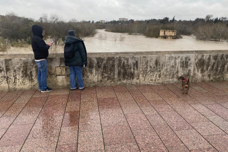 Río Guadalquivir a su paso por Córdoba tras la borrasca Leonardo