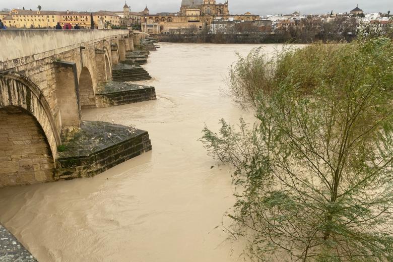 Río Guadalquivir a su paso por Córdoba tras la borrasca Leonardo