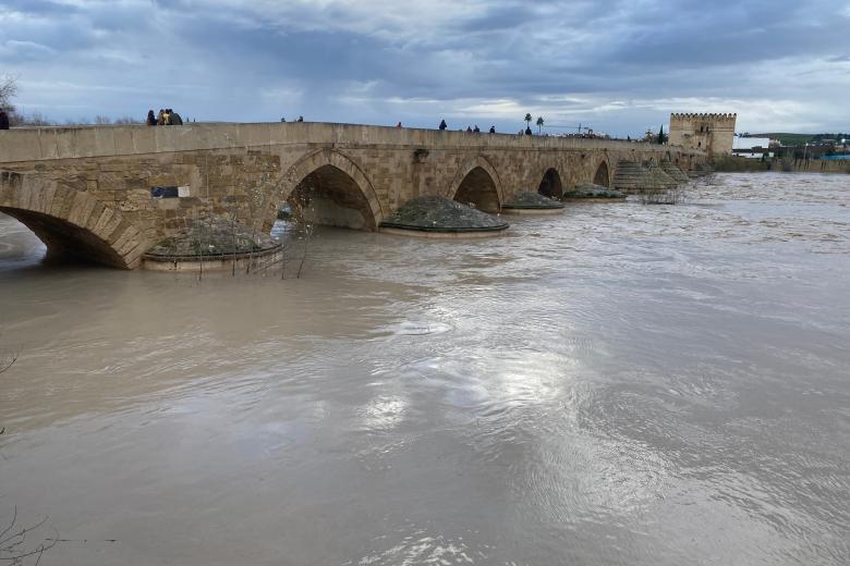 Estado del Guadalquivir el 5 de febrero de 2026 a su paso por Córdoba con 5,5 metros de altura