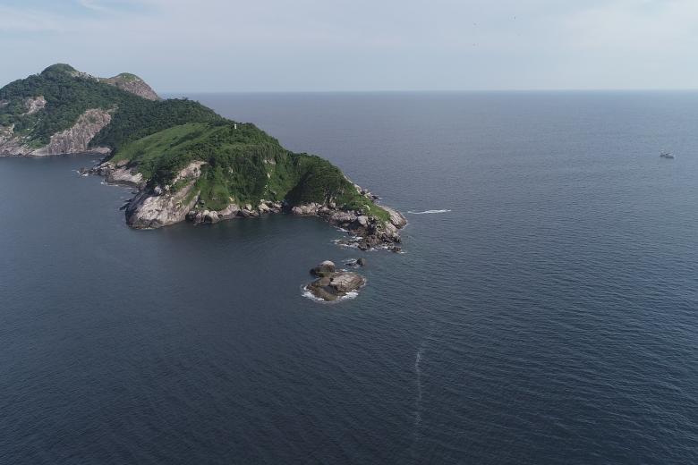 Queimada Grande (Brasil): la isla de las serpientes
