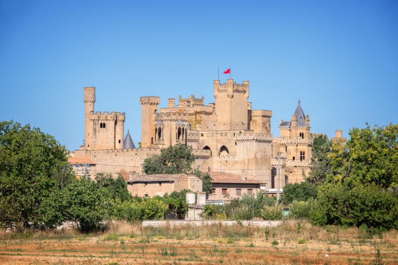 Castillo de Olite (Navarra)