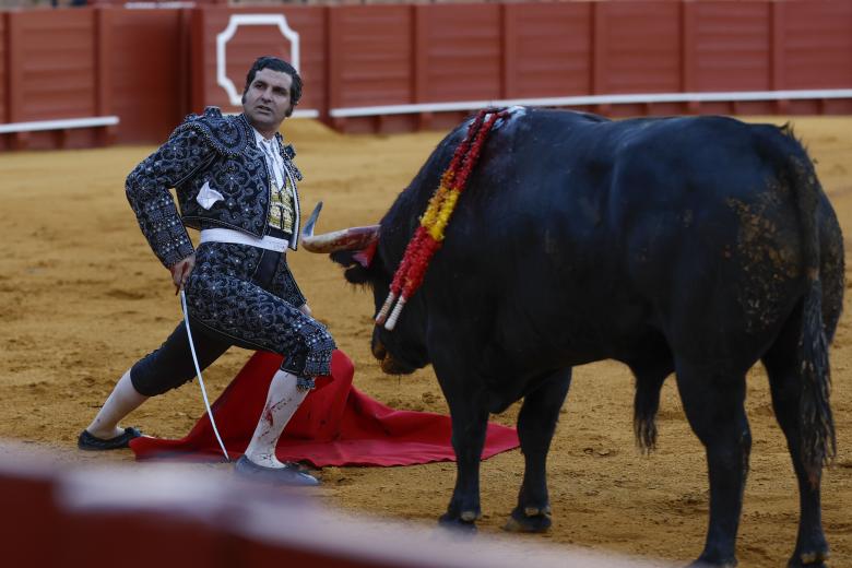 Morante de la Puebla en la Real Maestranza de Sevilla