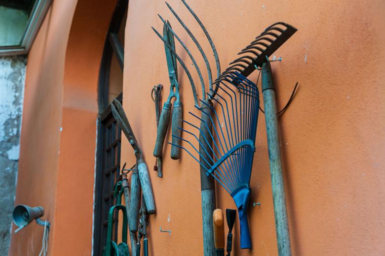 Patios de Córdoba 2026