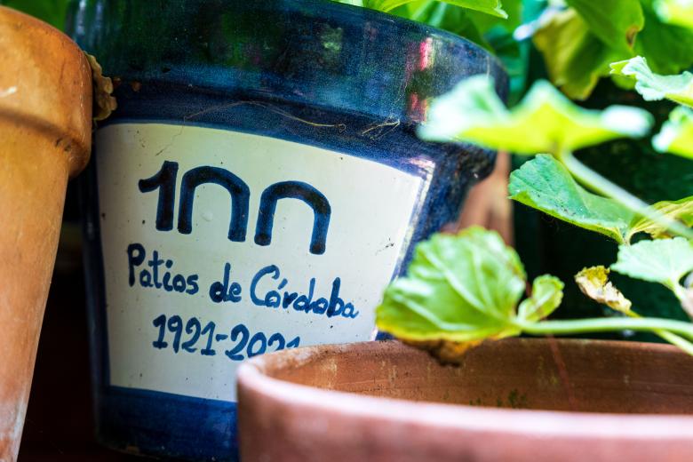 Patios de Córdoba 2026