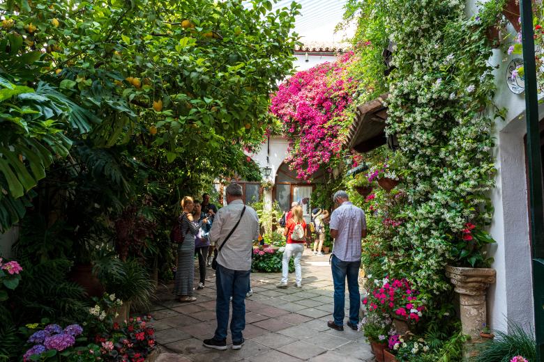 Patios de Córdoba 2026