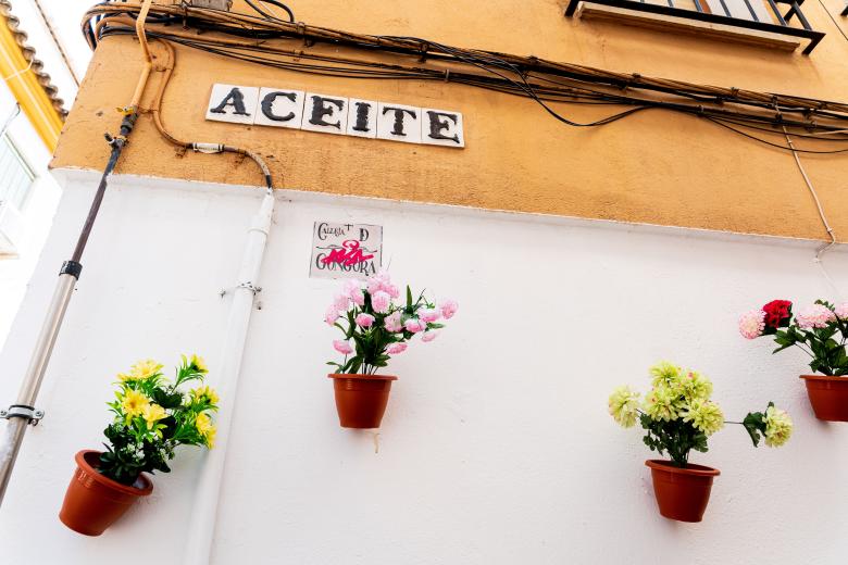 Patios de Córdoba 2026
