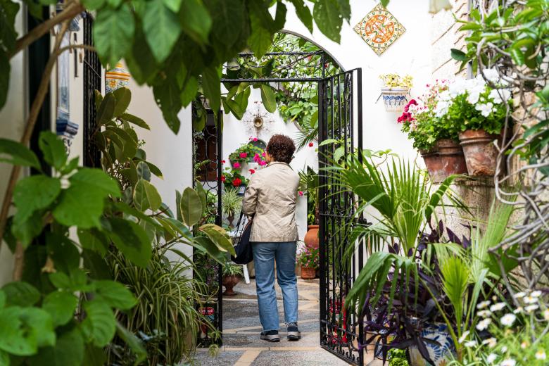 Patios de Córdoba 2026