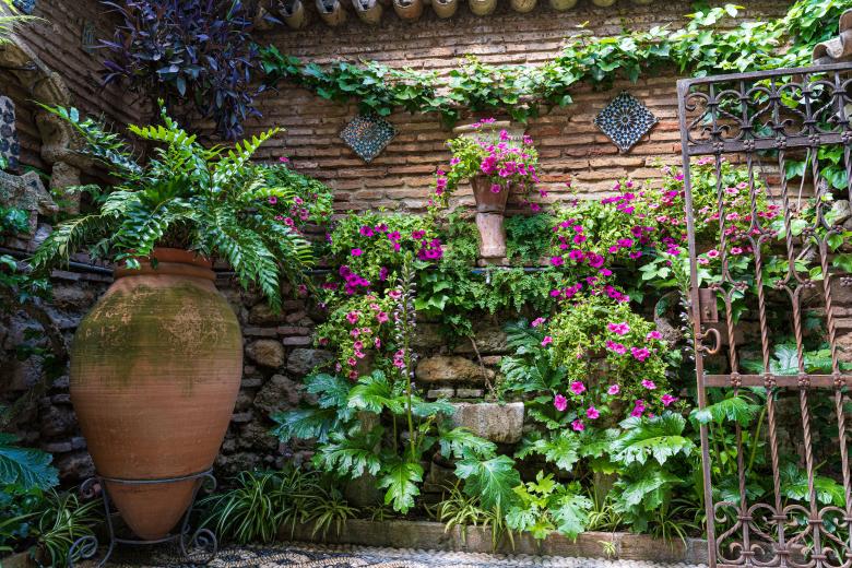 Patios de Córdoba 2026