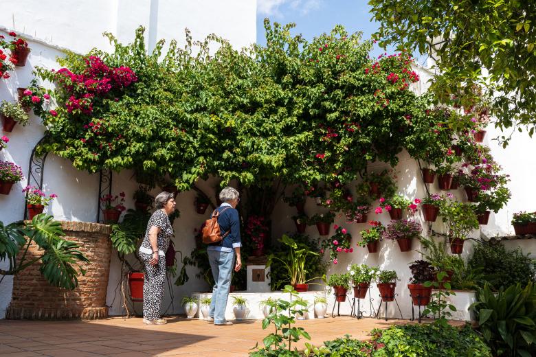 Patios de Córdoba 2026