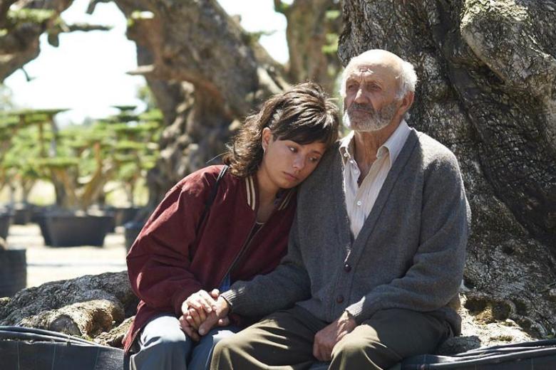 Alma es una joven de veinte años que siente una devoción profunda por su abuelo, un hombre que se sumió en un melancólico silencio hace ya mucho tiempo. Al ver que el anciano ahora también deja de comer, ella decide emprender una misión desesperada para recuperar el olivo milenario que su familia vendió contra su voluntad durante una crisis financiera. Para lograr esta hazaña, Alma tendrá que involucrar a su tío —quien también vive marcado por la precariedad—, a su fiel amigo Rafa y, finalmente, a todo el pueblo en una lucha por la dignidad. Se trata de una película conmovedora que explora con gran delicadeza el vínculo inquebrantable entre nieta y abuelo, recordándonos la importancia de proteger nuestras raíces y las herencias emocionales que nos definen.