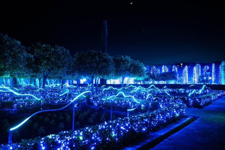 El espectáculo "Naturaleza Encendida: Navegantes" en el Alcázar de los Reyes Cristianos de Córdoba