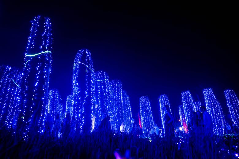 El espectáculo "Naturaleza Encendida: Navegantes" en el Alcázar de los Reyes Cristianos de Córdoba