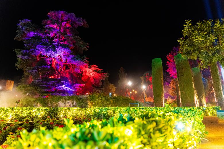 El espectáculo "Naturaleza Encendida: Navegantes" en el Alcázar de los Reyes Cristianos de Córdoba