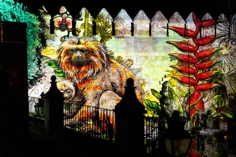 El espectáculo "Naturaleza Encendida: Navegantes" en el Alcázar de los Reyes Cristianos de Córdoba