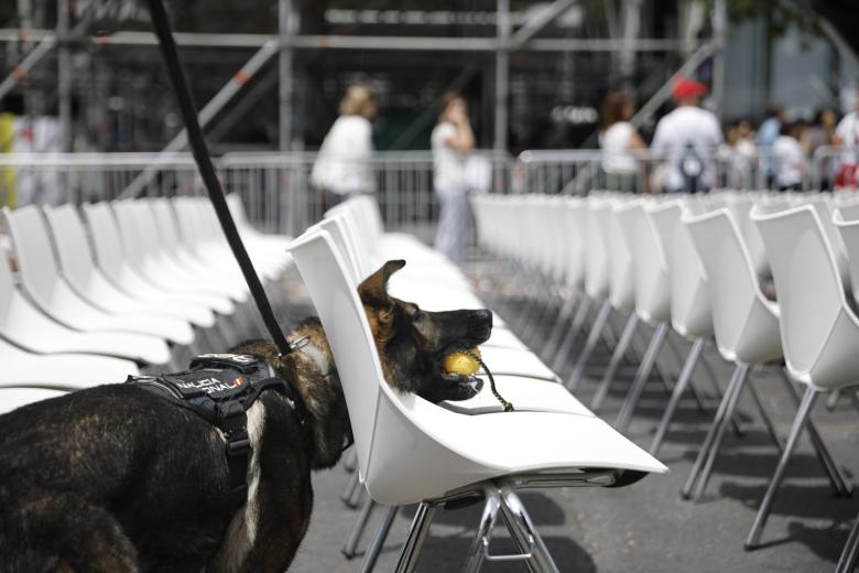 Un perro de la Policía Nacional que formarán parte del dispositivo de seguridad con motivo de la visita del Papa León XIV vigila los asientos habilitados para la visita tras la rueda de prensa celebrada en la plaza de Lima en Madrid este viernes durante la presentación de dicho dispositivo