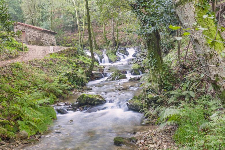 Ruta de la Piedra y el Agua, Pontevedra