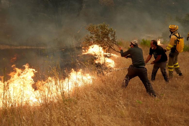 Bomberos y ciudadanos, aplicándose en el incendio de Ávila a la altura de Cebreros, un fuego que, durante horas, corría el riesgo de fusionarse con el de Madrid.