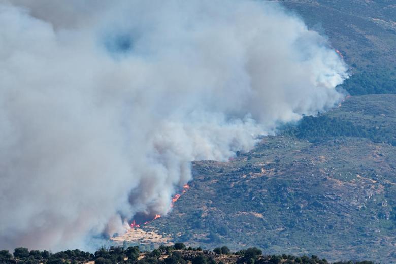 Vista del incendio que afecta a Burgohondo visto desde la localidad abulense de Navalmoral